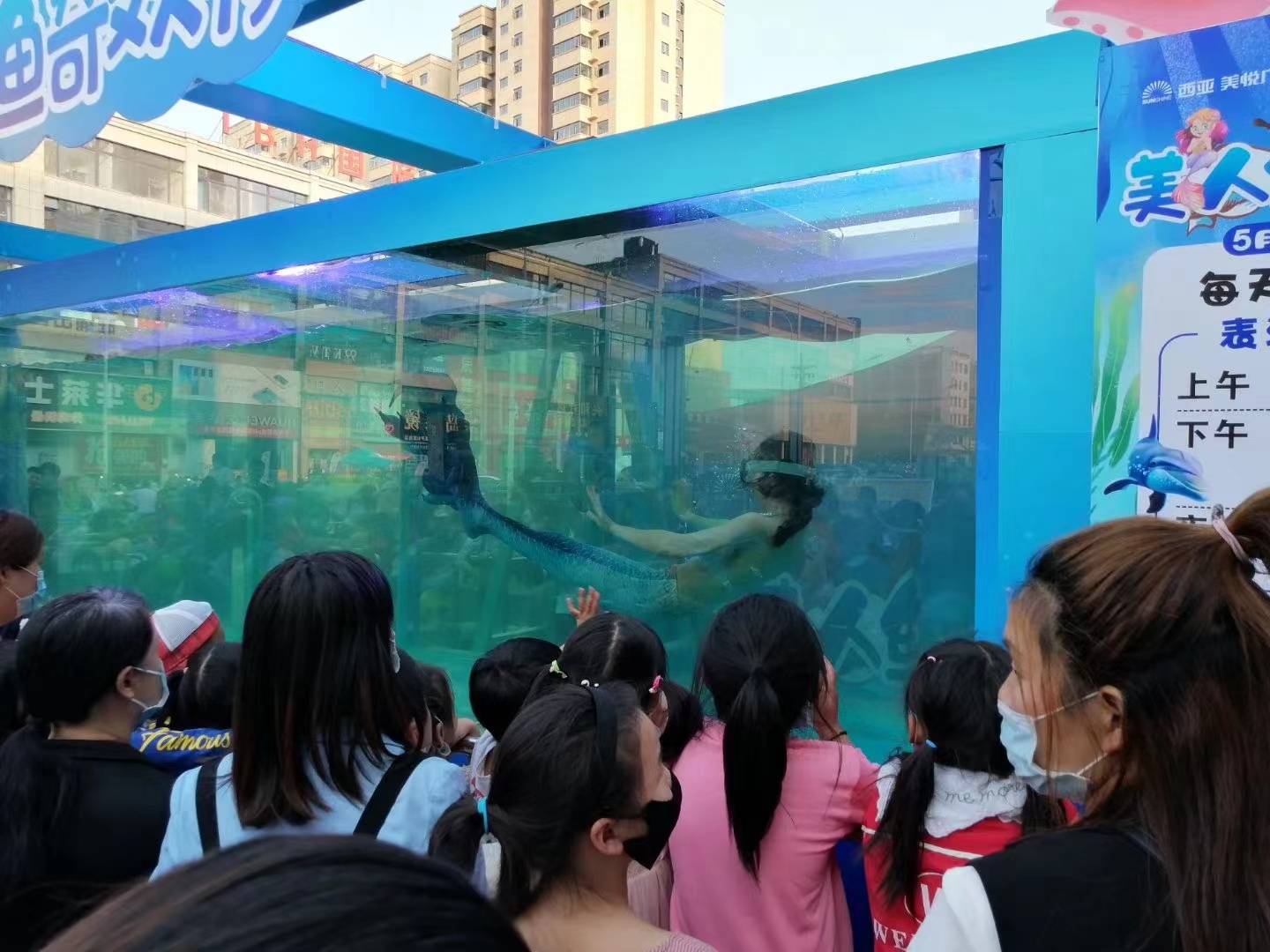 海狮表演出租锦州附近