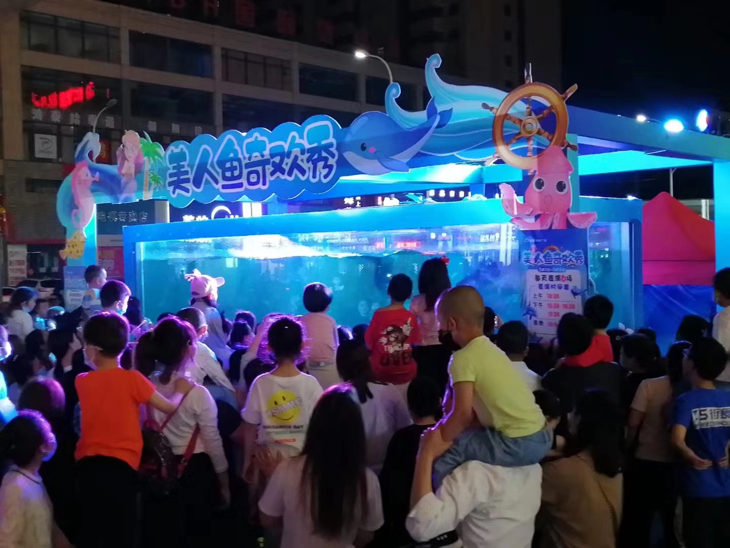 宁波海狮表演出租庆典活动