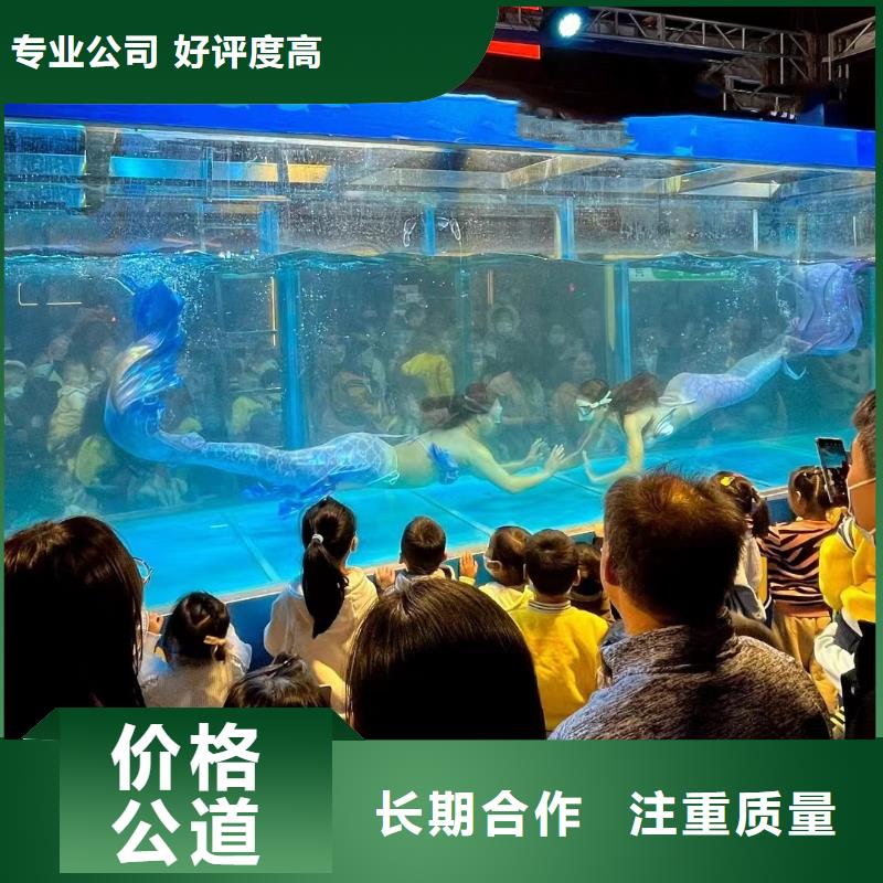 香港海狮表演租赁公司
