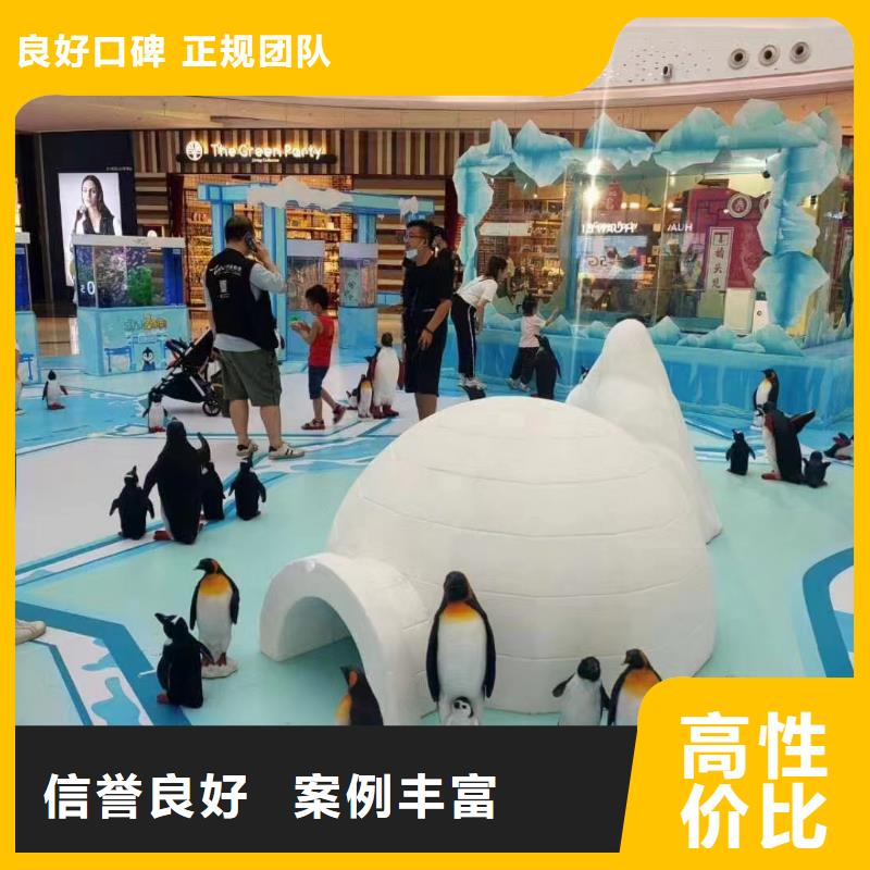 深圳出租企鹅公司活跃气氛