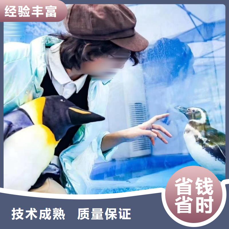 重庆海洋主题动物表演【海洋展租赁】明码标价