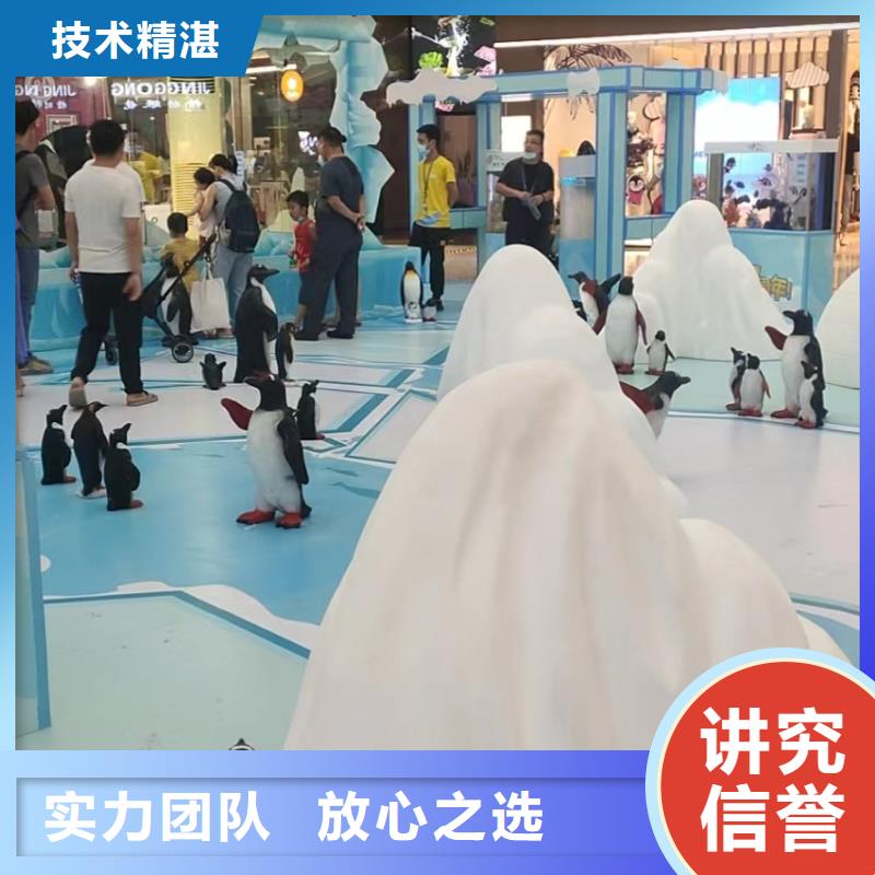 台州哪有出租企鹅的联系方式