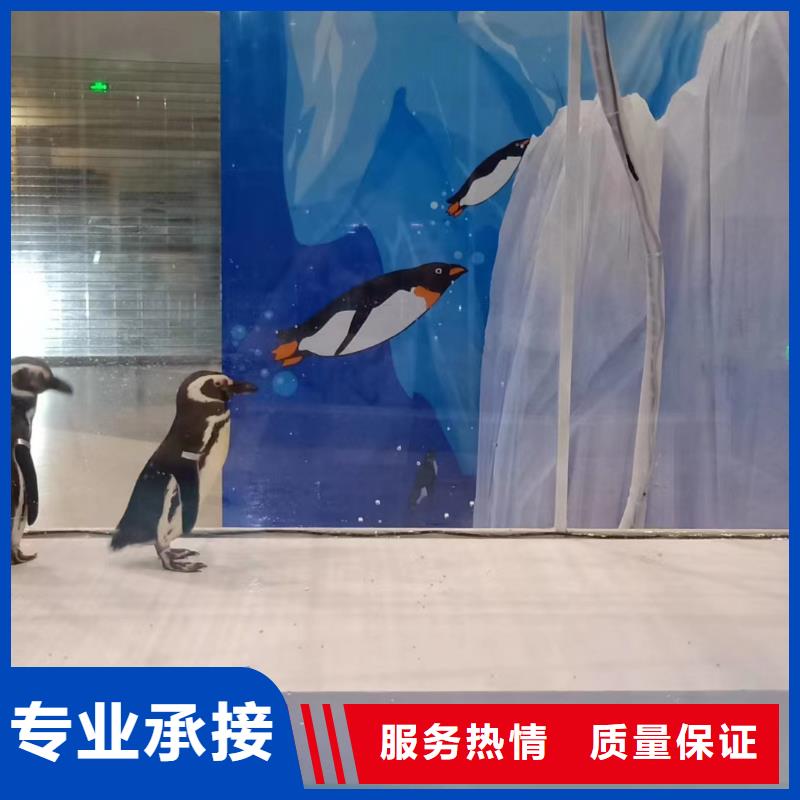 深圳哪里有出租企鹅的节日活动