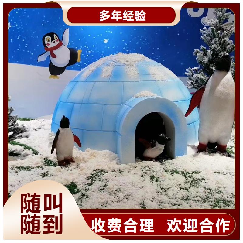 台湾租赁企鹅公司哪里有