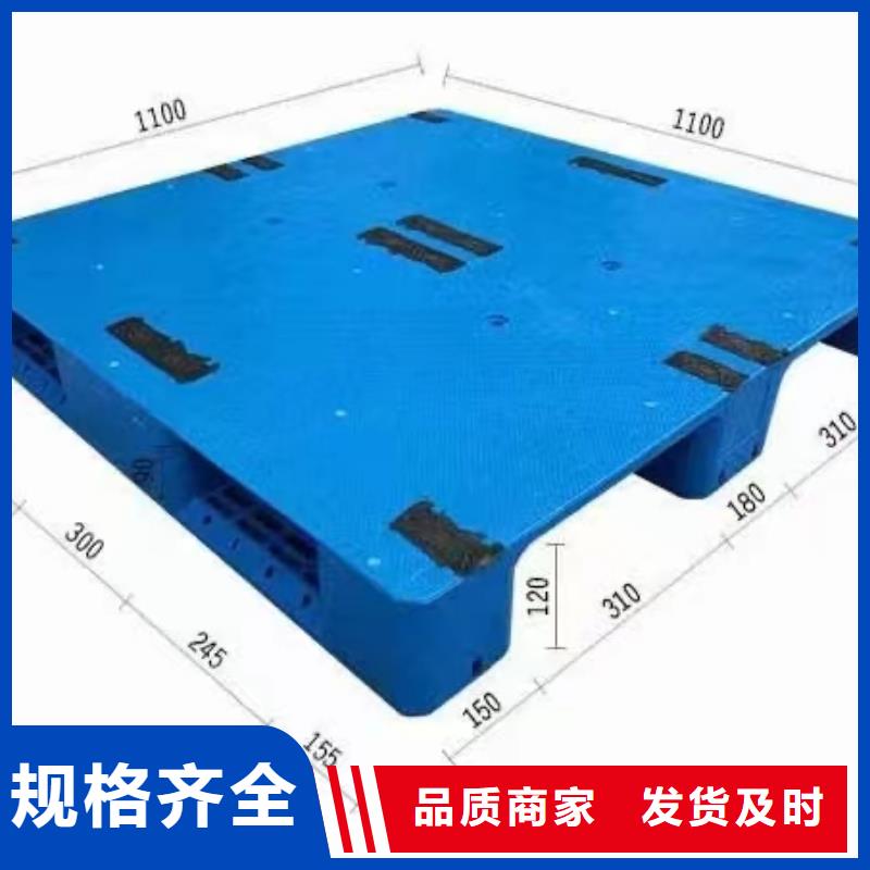 临洮县防潮塑料垫板欢迎联系