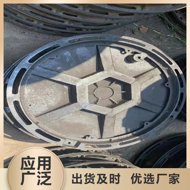 乐东县-250*500球墨铸铁雨水沟盖板