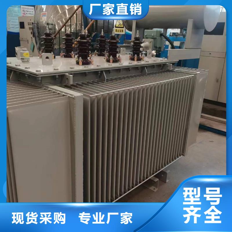 九江变压器厂家SH15-315KVA10/0.4KV非晶合金油浸式变压器价格