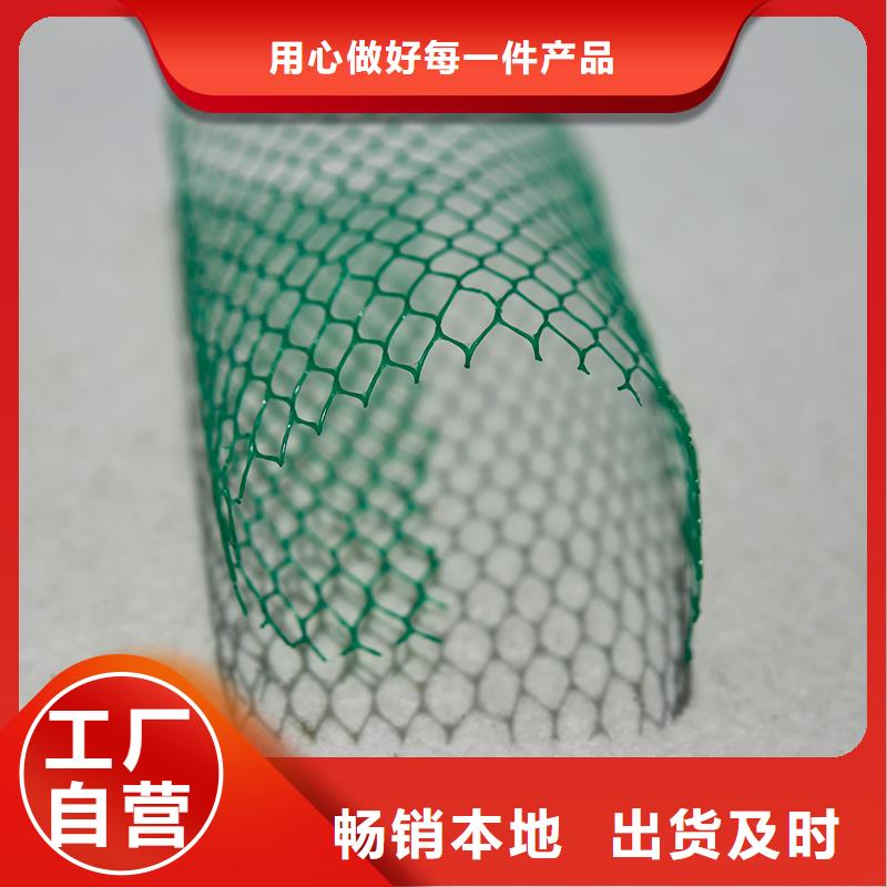 上海土工布钢塑土工格栅优质货源