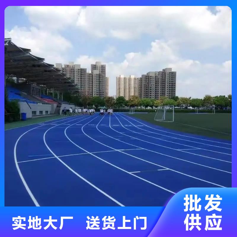 乐东县预制型塑胶跑道来电咨询当地供应商
