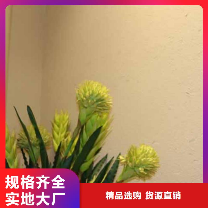 惠州雅晶石涂料图片
