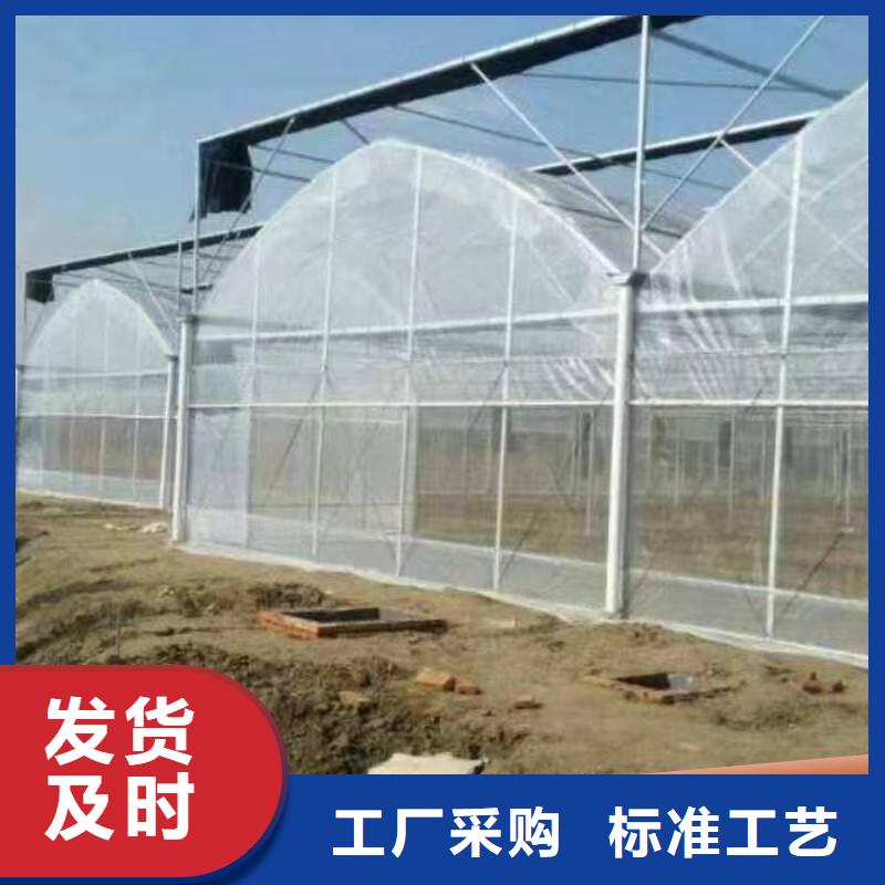 广东省珠海市横琴镇中草药种植大棚良心厂家