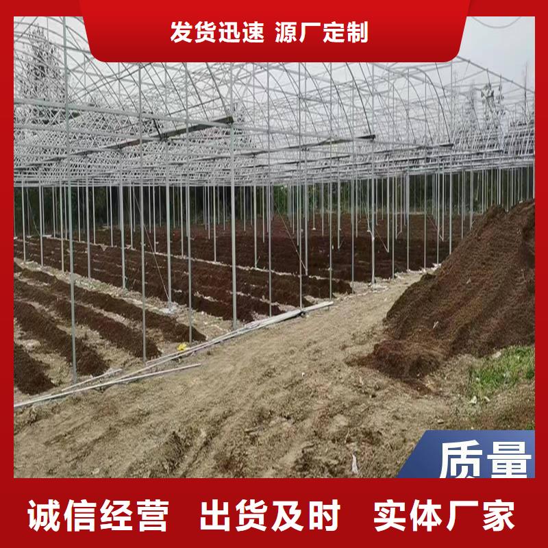 河南省新乡获嘉县8米跨度连体温室大棚推荐厂家