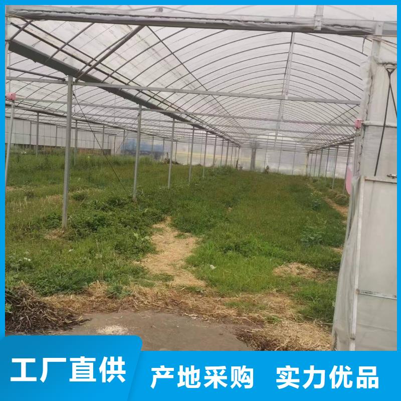 广西省柳州鹿寨县温室钢架大棚价格实力老厂2023-8-28