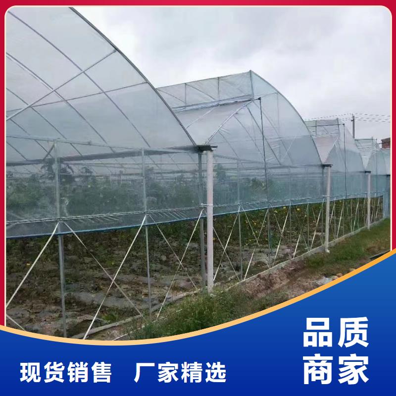 山东省烟台海阳市蔬菜大棚管多少钱一亩正规厂家