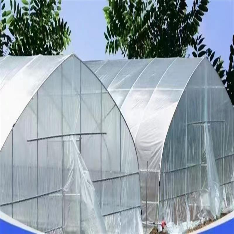 广西省来宾市兴宾区养殖大棚薄膜品质保障