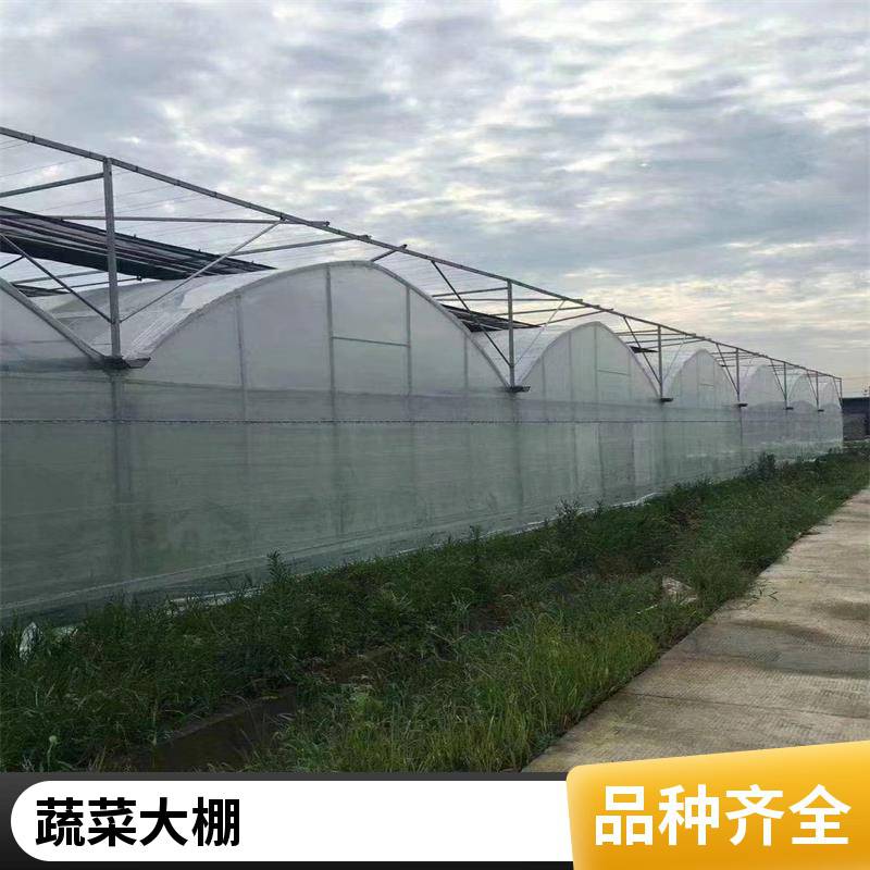 福建省泉州金门县进口利得绿白薄膜实力厂家