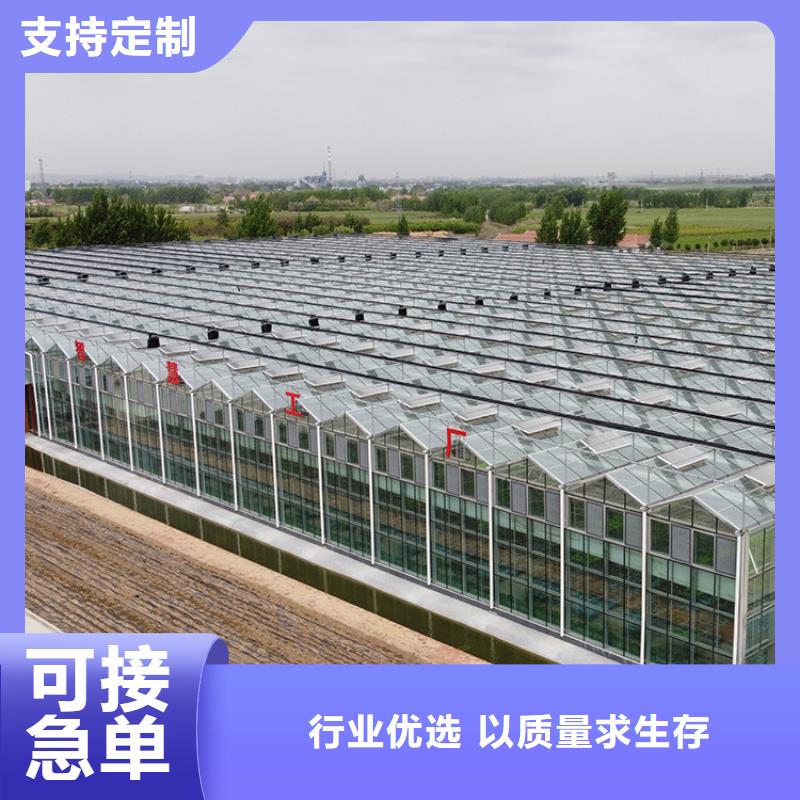 湖南省株洲天元区8米跨度连体温室大棚按需定制