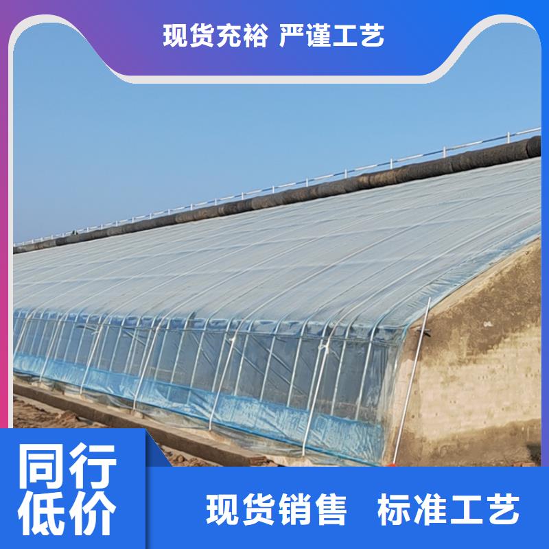 河北省保定安新县养殖大棚黑白膜实体大厂2023乡村振兴计划