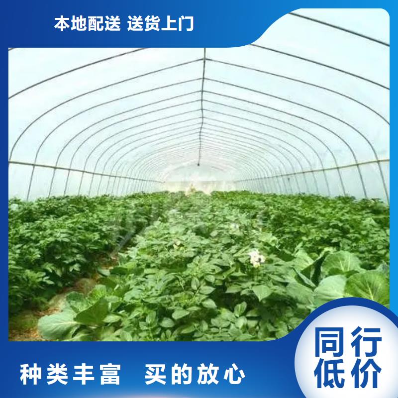 江西省萍乡安源区GP825蔬菜大棚管厂家现货