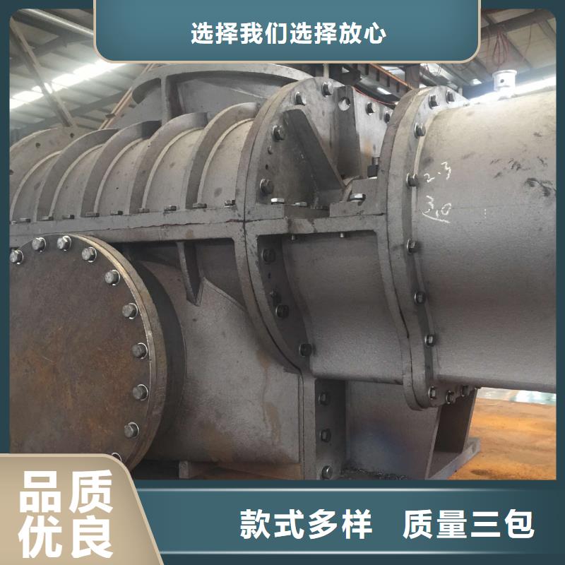2023推荐洗煤专用罗茨风机LFSR100镇江