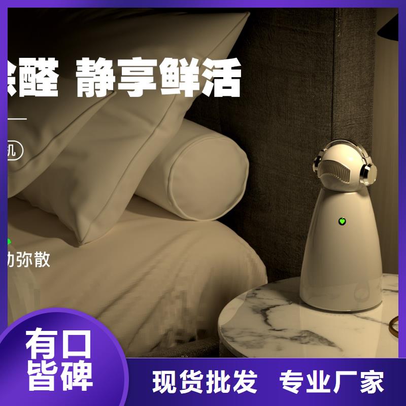 【深圳】呼吸健康管理好物推荐小白空气守护机同城服务商