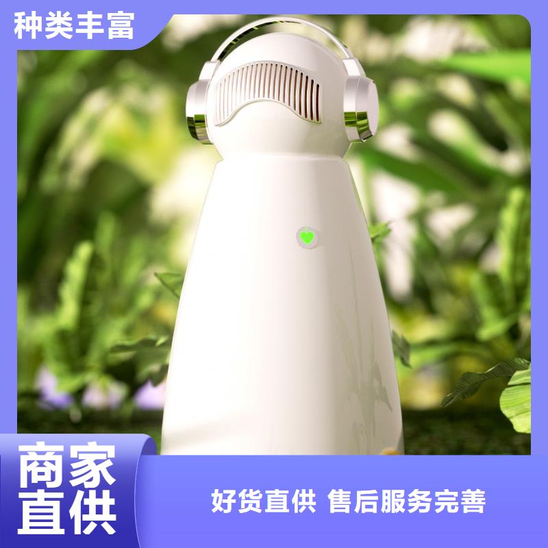 【深圳】卧室空气氧吧代理费用负离子空气净化器一站式服务