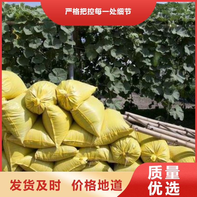 北京顺义通州生物有机肥提升油菜亩产量