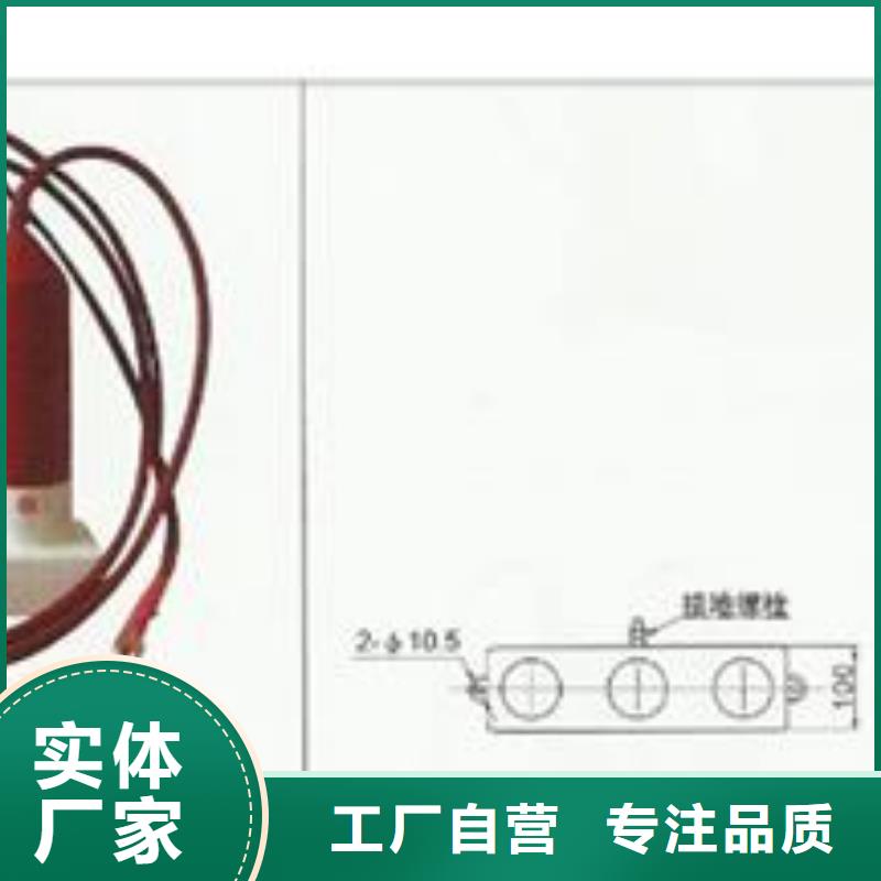 JCQ1-20/1500避雷器在线监测仪定安县本地厂家