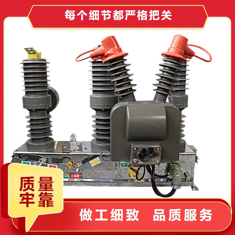 LW30-72.5/2500-31.5高压断路器樊高当地厂家