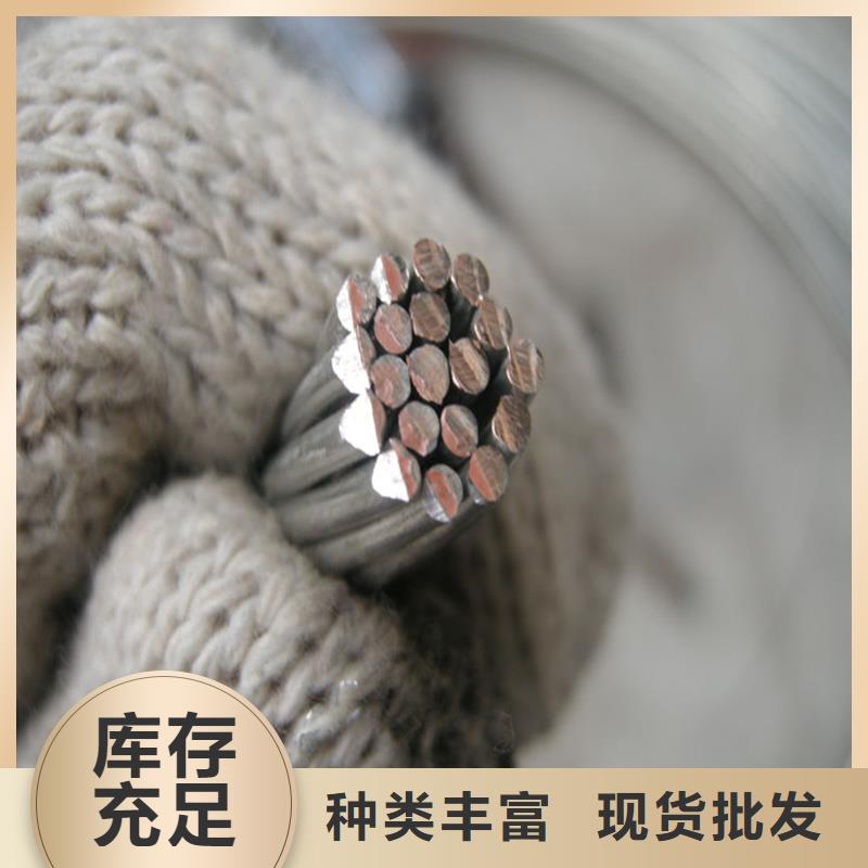 亳州TJ-300mm2镀锡铜绞线常用指南【厂家】