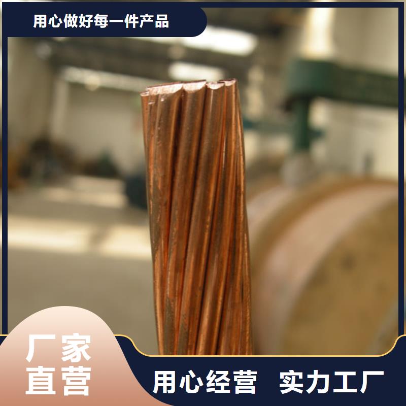 台州铜绞线185㎜2安装
