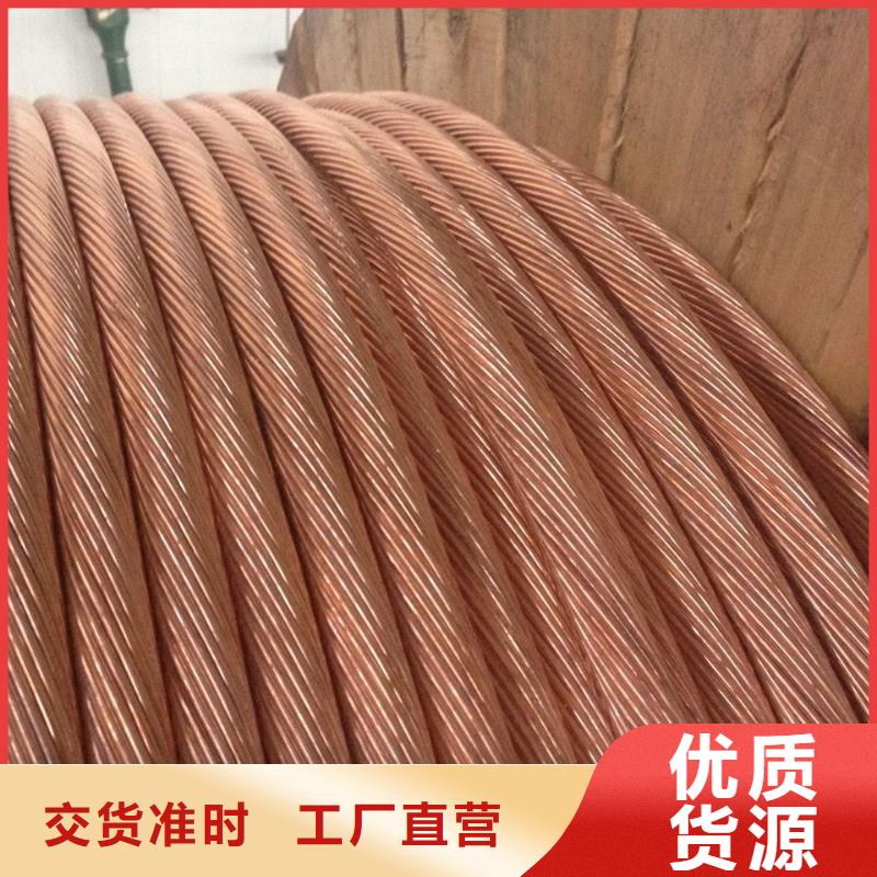 南京镀锡铜绞线国家标准生产一米多少钱
