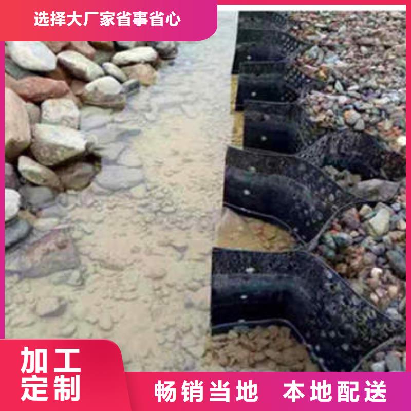 忻州水渠河道治理用蜂巢格室