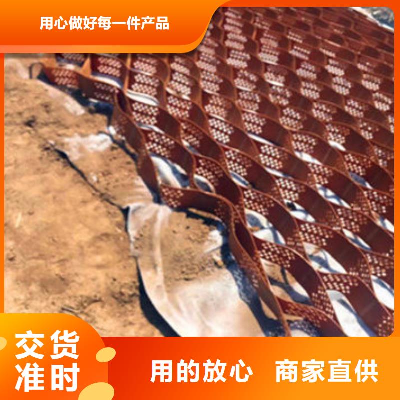 北京双向塑料土工格栅、双向塑料土工格栅厂家-本地品牌