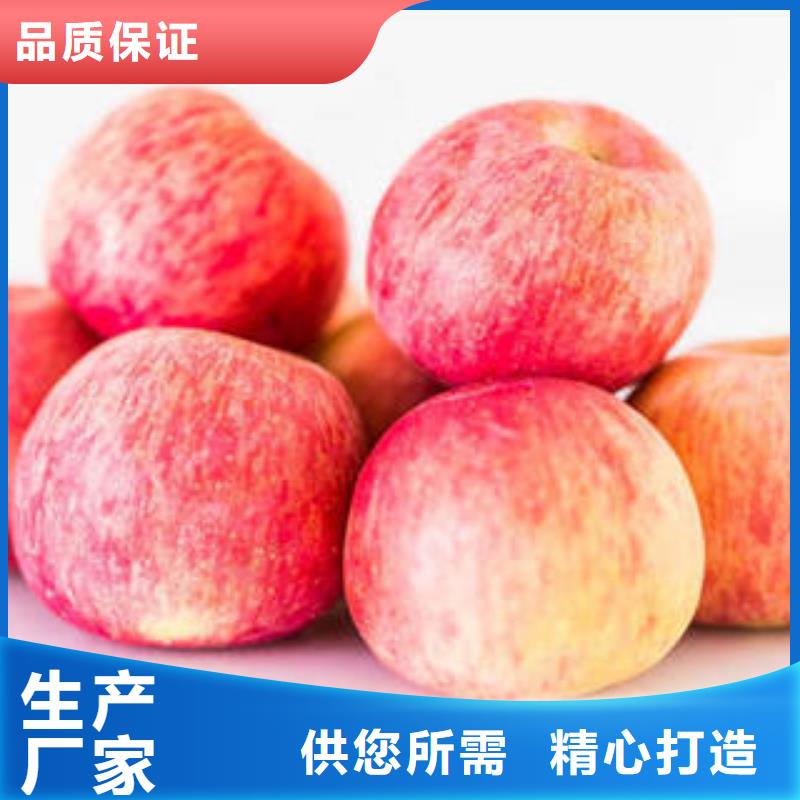 浙江
红富士苹果货源地