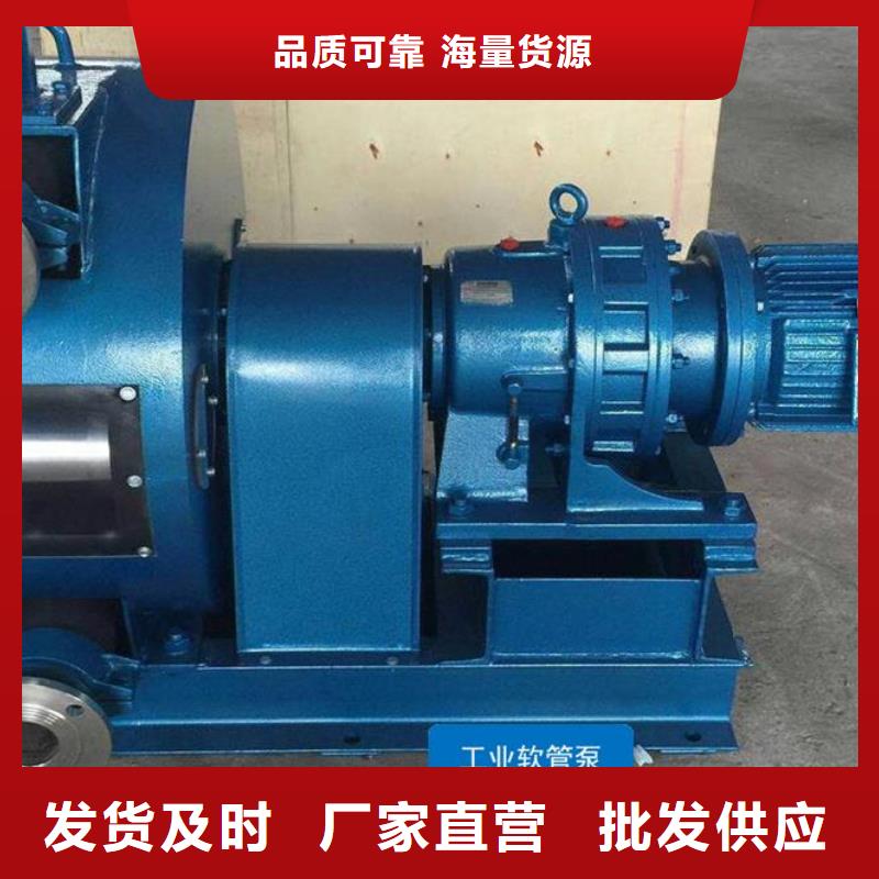 台州大流量工业软管泵盾构机配套
