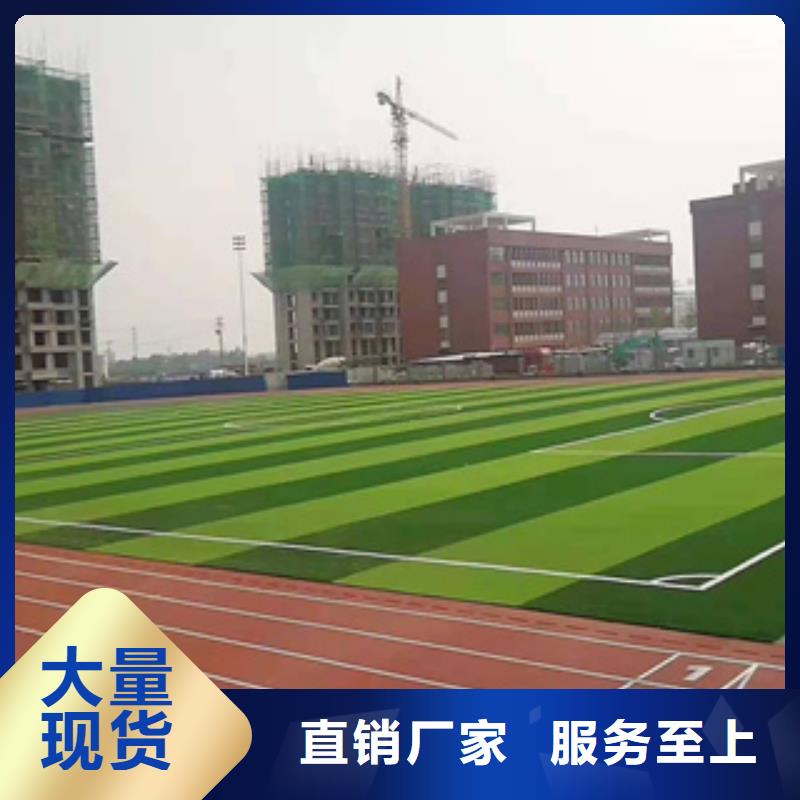 江西省赣州市人造草坪施工