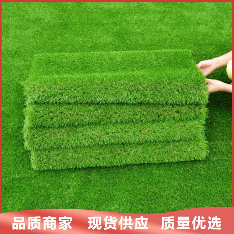 青海省海西市人造草坪材料