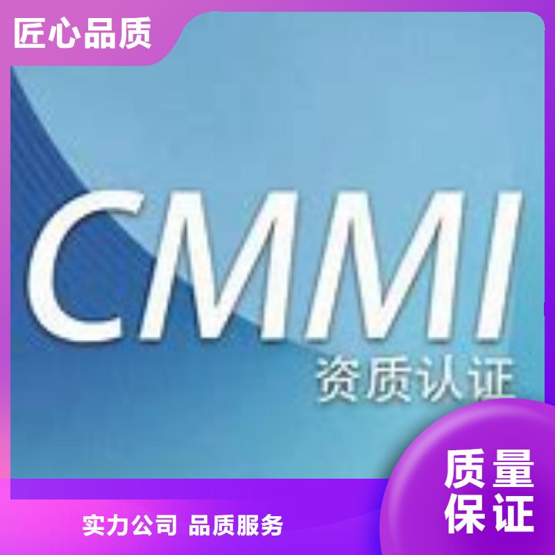 CMMI认证2.0条件2024专业的团队