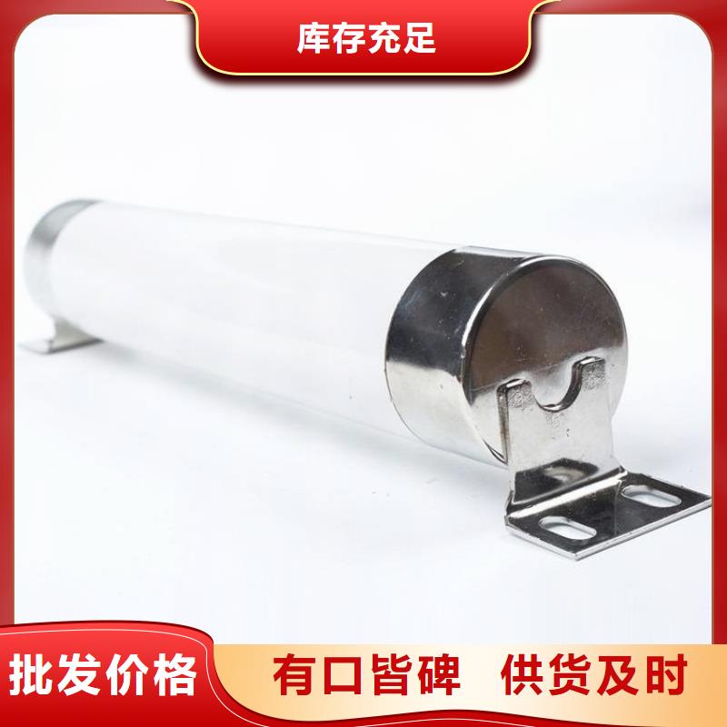 上海保护电压互感器用高压限流熔断器XRNP1-40.5/0.5厂家