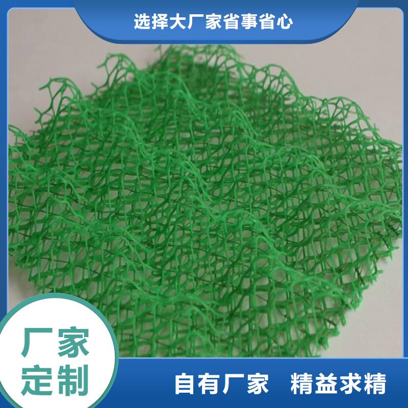 三维植被网-三维植被网厂家-三维植被网价格敢与同行比质量