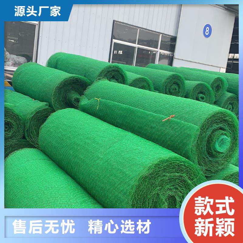 三维植被网|三维网垫植草护坡|三维土工网垫厂家本地生产厂家