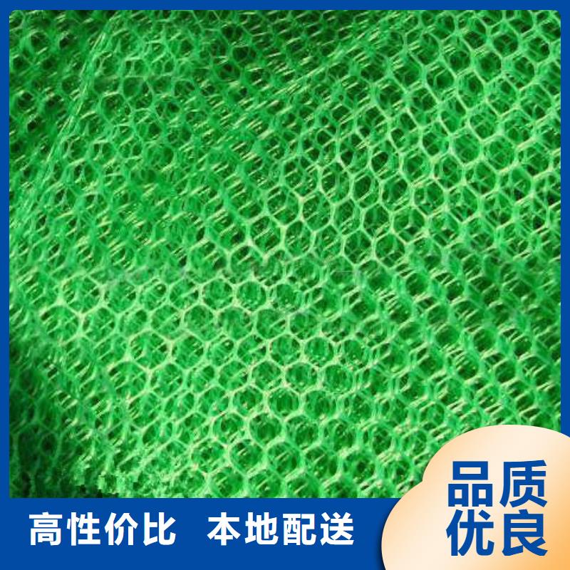 植生毯|三维植被网厂家|椰丝毯|三维抗侵蚀防护毯附近生产厂家