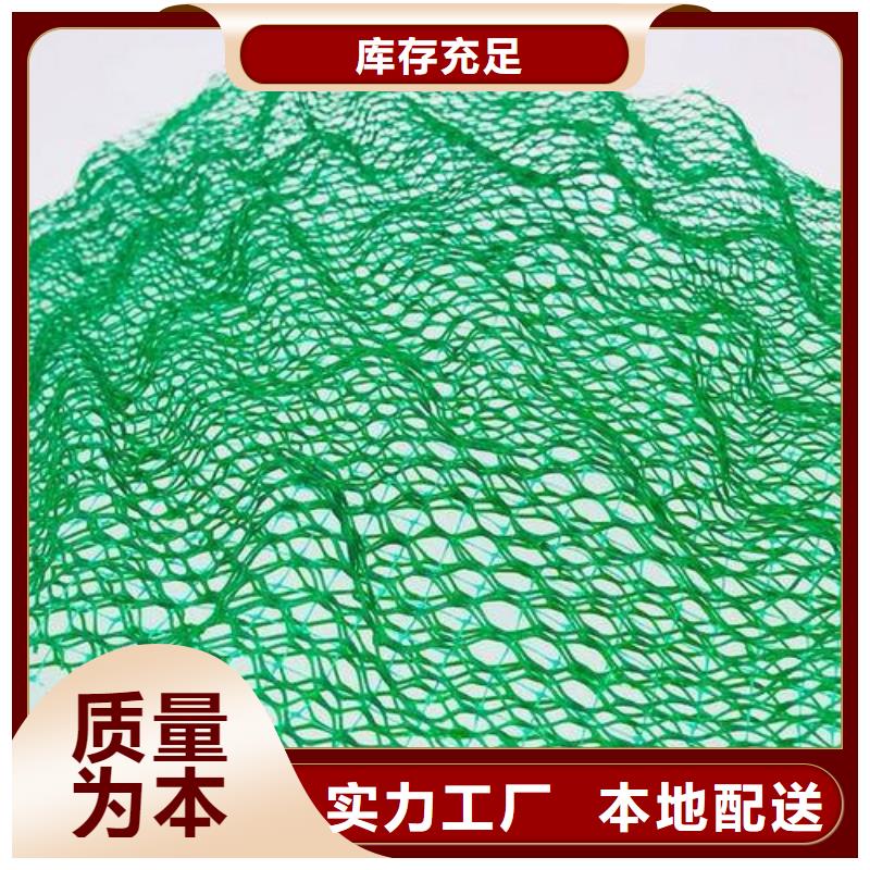 赤峰三维植被网|三维网垫植草护坡|三维土工网垫厂家