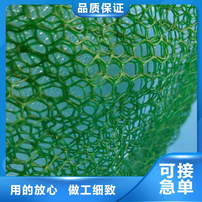 三维植被网,三维复合排水网,HDPE防渗膜品质保障价格合理