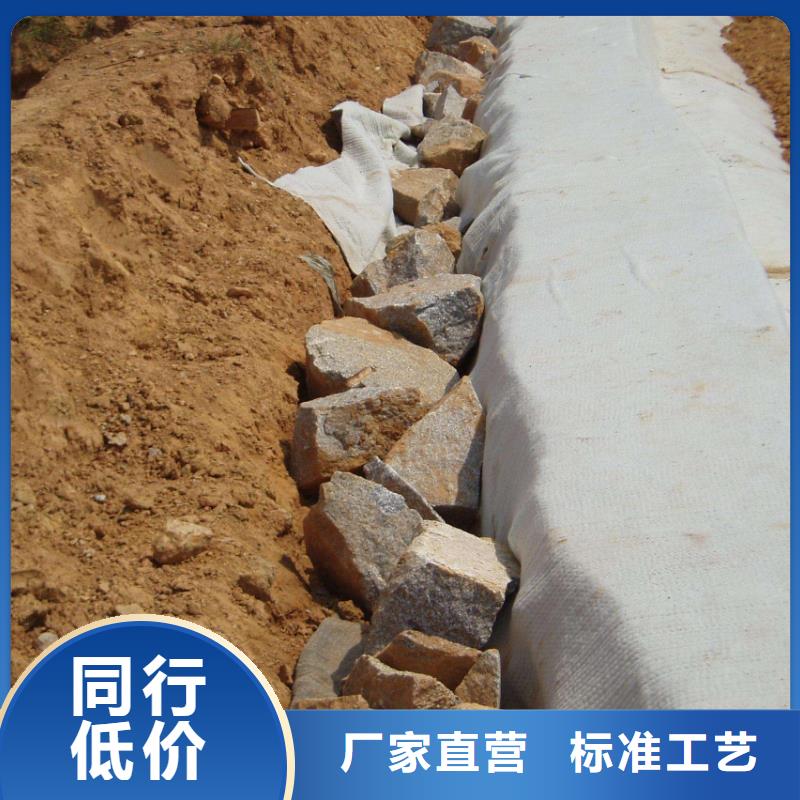 三亚膨润土防水毯(2)-防水毯系列-土工材料生产厂家