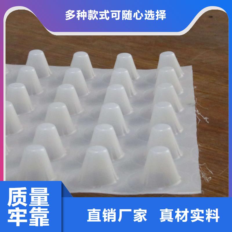 乐东县塑料排水板,塑料排水带,塑料排水板厂家,塑料排水带厂家买的是放心