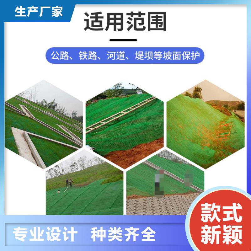 澄迈县边坡防护三维植被网厂家直销/质优价廉