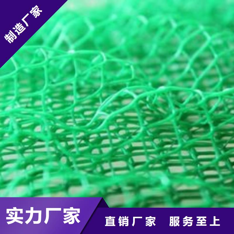 三维植被网垫生产厂家哪家好厂家技术完善