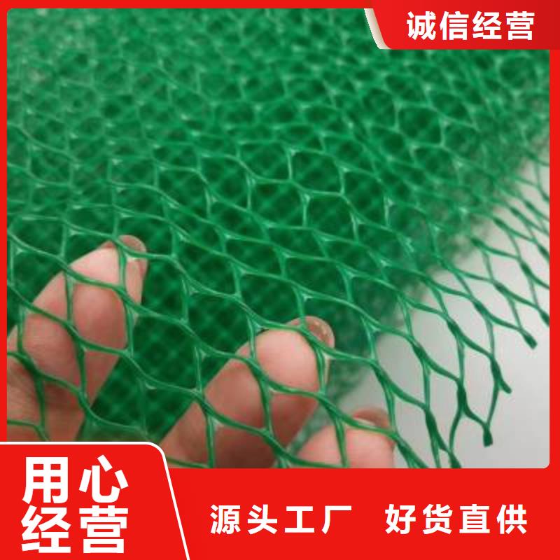 边坡防护三维植被网施工方法货源足质量好